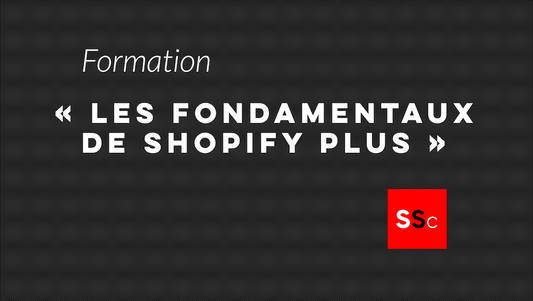 ShopiShopa Consulting lance la formation "Les fondamentaux de Shopify Plus"